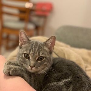 Meet your Posher, Brandy